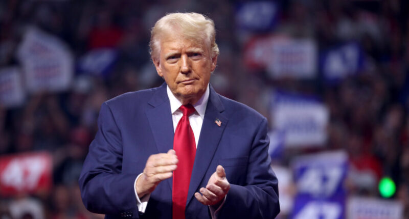 Democrats Have Unleashed Donald Trump At His Best