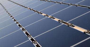 Detroit Using Eminent Domain to Plop Panels Instead of People on Vacant Lots – HotAir