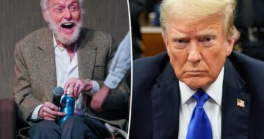 Dick Van Dyke, 98, reacts to second Donald Trump presidency: 'I won't be around'