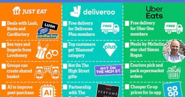 Did somebody say… Christmas takeaway battle? How Just Eat, Deliveroo and Uber Eats are vying for customers by offering free delivery, dishes by Michelin star chefs and even sex toys ahead of festive season