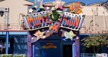 Disney fans have been left devastated over the news that Muppet*Vision 3D at Disney World in Orlando, Florida, is closing