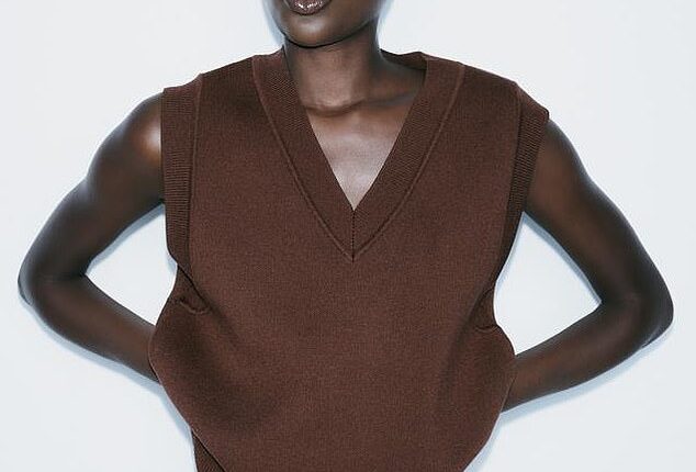 Plain-knit, sleeveless, chocolate jumper, £22.99, zara.com