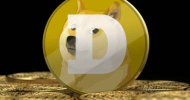 Dogecoin soars as altcoins look to benefit from Trump presidency