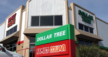 Dollar Tree CEO steps down, as discount retailer sticks with third-quarter outlook