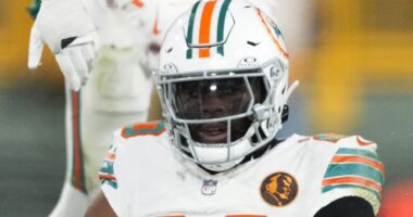 Dolphins' Jordyn Brooks Sounds Off on Packers Loss
