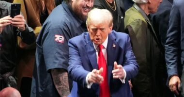 Donald Trump returns to MSG weeks after controversial rally to watch UFC 309