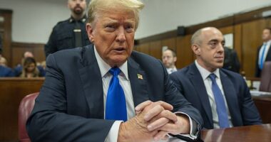 Donald Trump 's sentencing in his New York hush money case has been called off as the court decides how to move forward