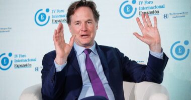 Nick Clegg (pictured) has added to his riches by pocketing £6.1million from the sale of some of his stock holdings in Meta, Richard Eden reports