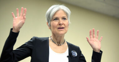 EU Green Parties Demand Jill Stein Stands Down (She Can't).