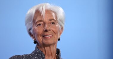 EU should avoid trade war with Trump by buying more U.S. weapons and LNG, Christine Lagarde says