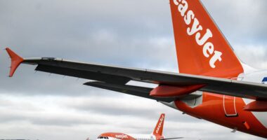 EasyJet ups dividend on surging profits from ‘record breaking’ summer