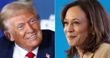 Election 2024 live updates: Latest news coverage on Kamala Harris and Donald Trump
