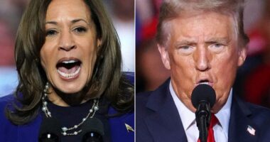 Election 2024 live updates: Trump and Harris head to Wisconsin as they make final pitches to ‘blue wall’ voters