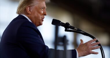 Election 2024 live updates and polls: Harris and Trump make their final appeals to Pennsylvania voters