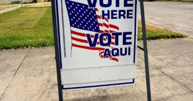 Election Data Shatters Democrats' Voter ID Lies