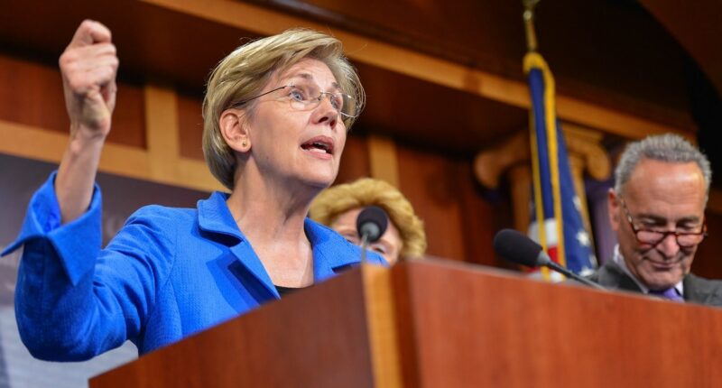 Elizabeth Warren is Ringing a Huge Alarm for Democrats. Here’s Why…