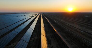 Enphase to lay off workers and end some operations in Mexico