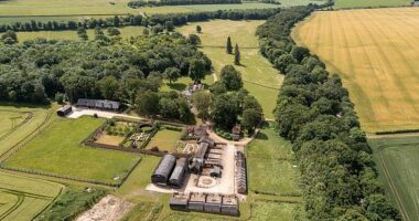 Lottery winner Adrian Bayford plans to transform 20 acres of his vast Grade-II listed Horseheath Lodge estate (pictured) into a theme park, with education facilities, a train ride, a renewable energy-themed play barn and a maze