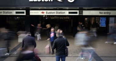 Euston station in central London is being evacuated after a suspicious package was found (file photo)