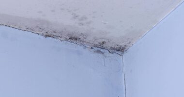 Expert guide to stopping damp and mould in your home this winter