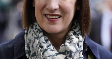 Chancellor Rachel Reeves (pictured) announced changes to inheritance tax that will mean farms worth more than £1million will be liable for the charge of 20 per cent