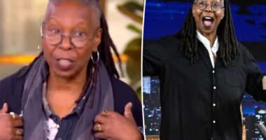 Fans slam 'tone-deaf' Whoopi Goldberg for saying she has to 'work for a living'