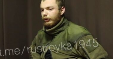 Mr Anderson, appeared in the footage with an unkempt beard, his hair closely cropped and wearing green combat fatigues, but with no visible bruises or marks of torture