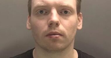 Jonathan Edge, 29, (pictured) has been jailed for more than three years after pleading guilty to selling 'dodgy' Firesticks