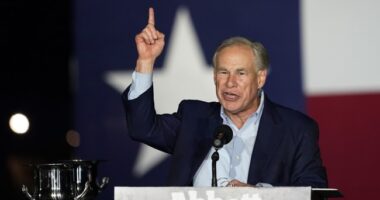 Fed Court of Appeals Rules Vs. Biden CPS Cutting Texas Razor Wire, Gov. Greg Abbott Has Thoughts – RedState