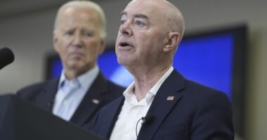 Federal Judge Slaps Down Biden Administration Over Illegal, Last Minute Amnesty Program – RedState