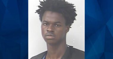 Florida Police Arrest Potential Teen Serial Killer Who Stabbed Victim 45 Times