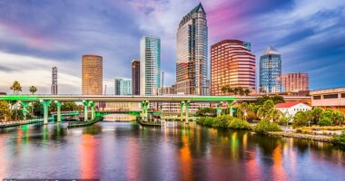 Insurance costs have soared in Florida - with experts pinpointing Tampa (pictured), Sarasota, and Manatee counties as among the worst-hit areas