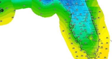 Floridians brace for rare polar cold front after urgent freeze warning is issued to these cities