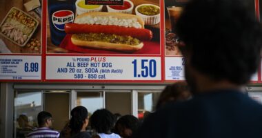 Forget betting on Trump vs. Harris. These people are wagering that Costco will raise the price of its $1.50 hot dog–and–soda deal.