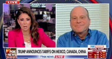 Fox News anchor suggests people need to get ‘realistic’ about Trump tariffs: ‘Who’s going to pay for that? We are!’