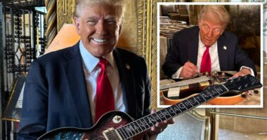 From bibles to sneakers to guitars: Trump-branded merchandise is everywhere, but could it create legal woes for the president-elect?