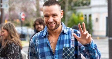 Liam Payne: Memorial Service Recap Ft. Family & One Direction Bandmates