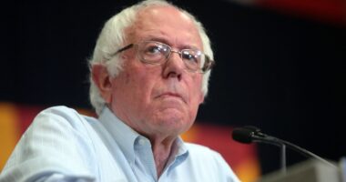 Furious DNC Attacks Sanders for Saying Democrats 'Abandoned Working Class.'