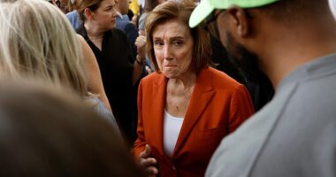 Democratic lawmakers are frustrated with Nancy Pelosi (above)