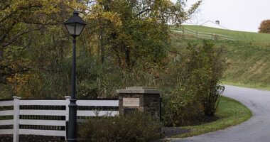 The 81-year-old commander-in-chief spent part of Sunday tucked away at the Fieldstone Golf Club near his home in Wilmington, Delaware