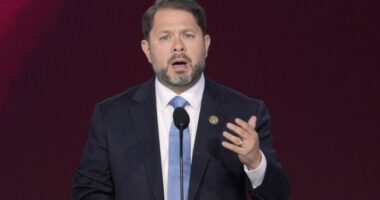 Gallego Leading in AZ Senate Results, Addresses Supporters at Dem HQ – RedState