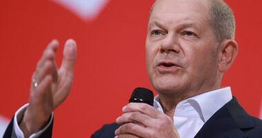 Germany's Chancellor Olaf Scholz has pushed back against EU mandates requiring car makers to reduce the emissions of their vehicles by 15 per cent by next year