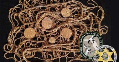 In the past nine years, officials conducted numerous search warrants and the unaccounted coins were recovered from peoples' homes, safe deposit boxes and auctions