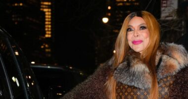 Wendy Williams Guardian Reveals Major Update About Her Health 