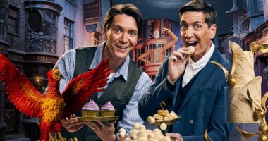 'Harry Potter Wizards of Baking' Has Brought Magic to Food Network