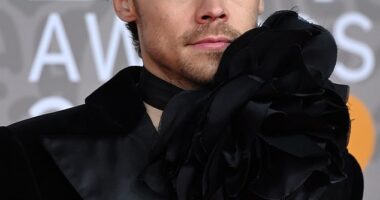Harry Styles fans are wondering if the One Direction star might have had some help up top and undergone a hair transplant