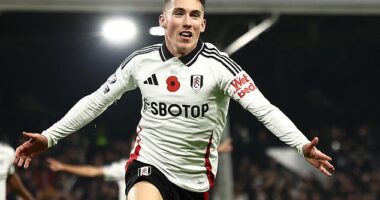 Fulham star Harry WIlson has admitted his brace in the win over Brentford was 'lucky.