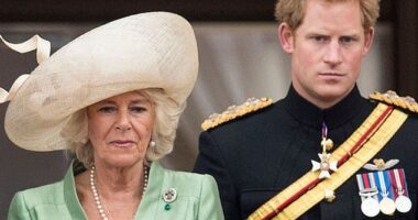 Harry wrote in his memoir that he wondered if Camilla would be 'like all the wicked stepmothers in storybooks'