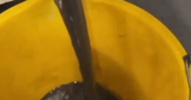 A bucket full of black sludge extracted from just four seats on the London Underground