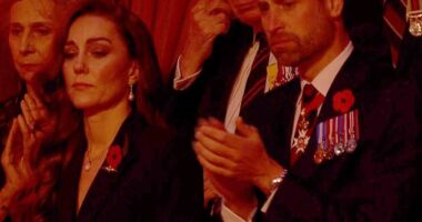 The Prince and Princess of Wales appeared moved as the hymn from their wedding - Guide Me, O Thou Great Redeemer - was played during last night's Festival of Remembrance at London's Royal Albert Hall